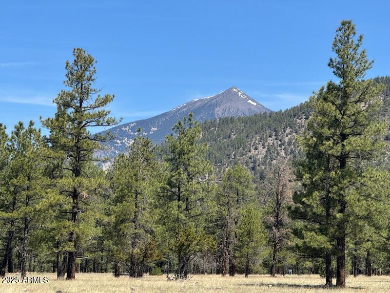 Lot 4 N Quintana Drive 4