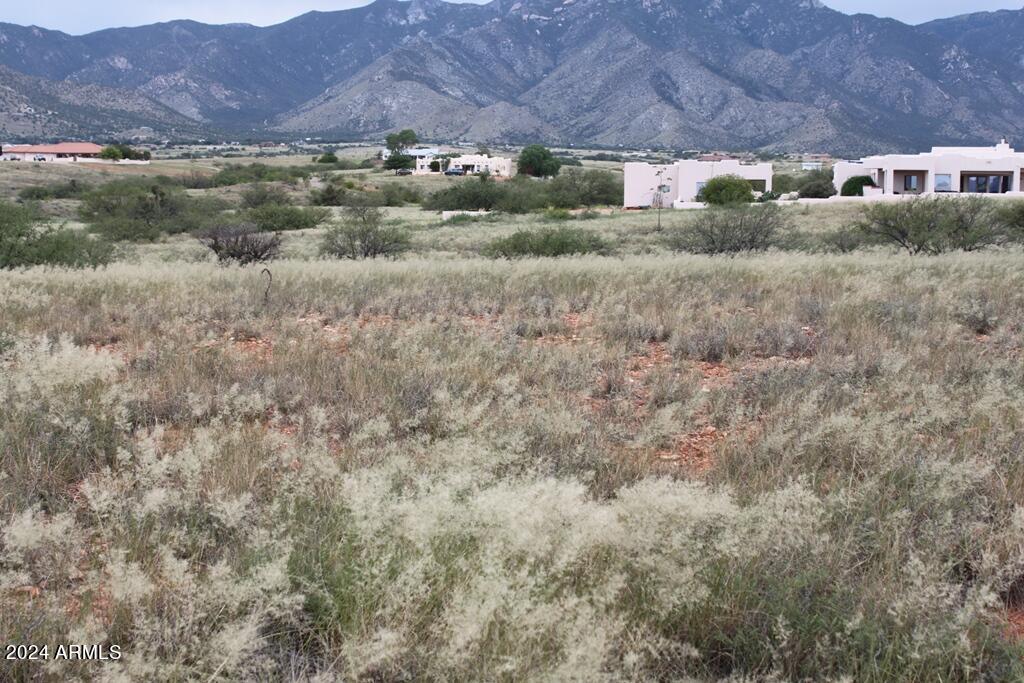 206 S Coatimundi Court 15