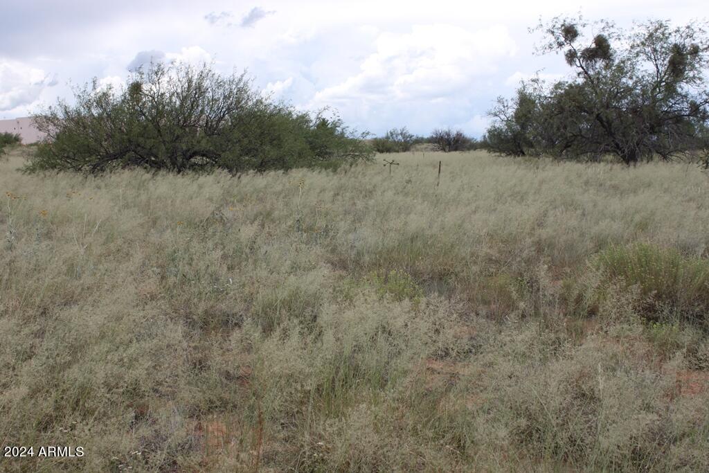 206 S Coatimundi Court 15