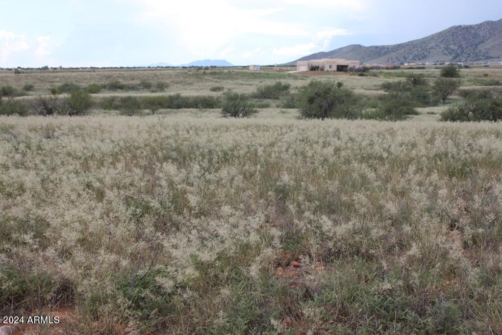 DEER RIDGE ESTATES - Land
