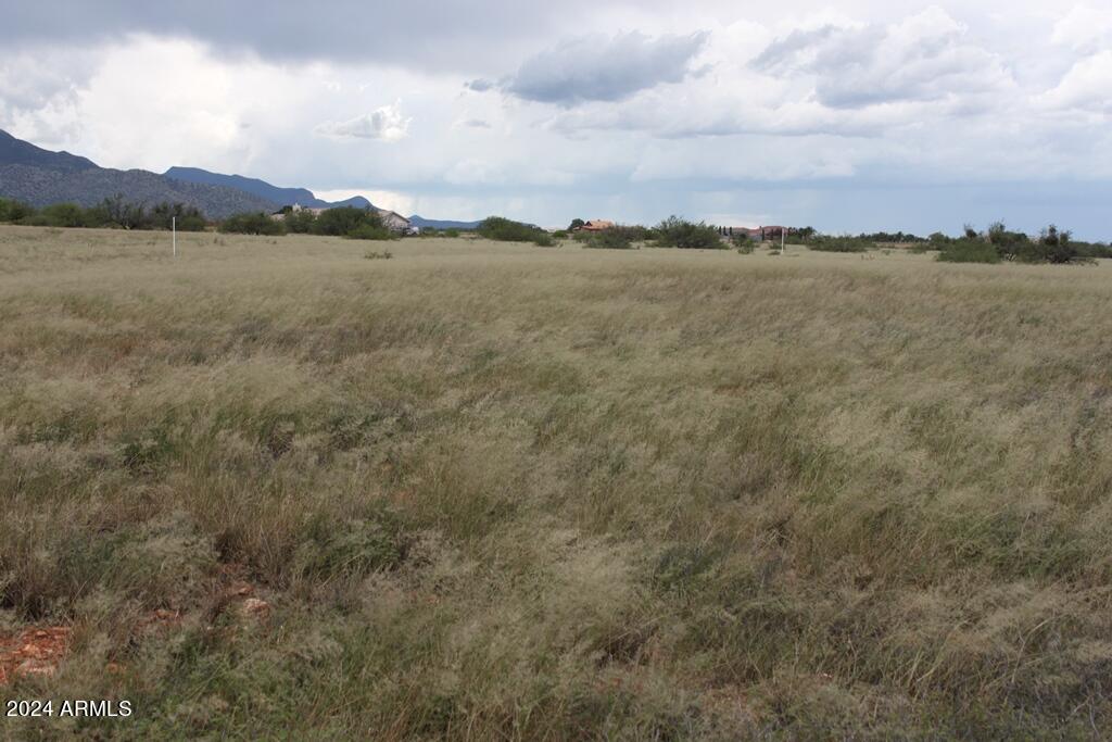 206 S Coatimundi Court 15