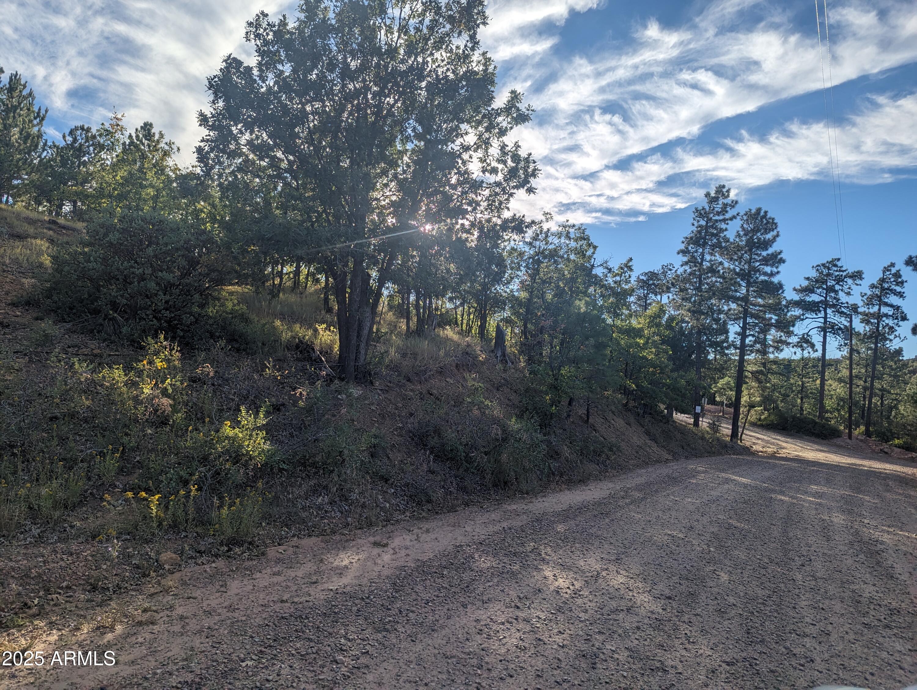 TIMBERLAND ACRES    lot 390 - Land