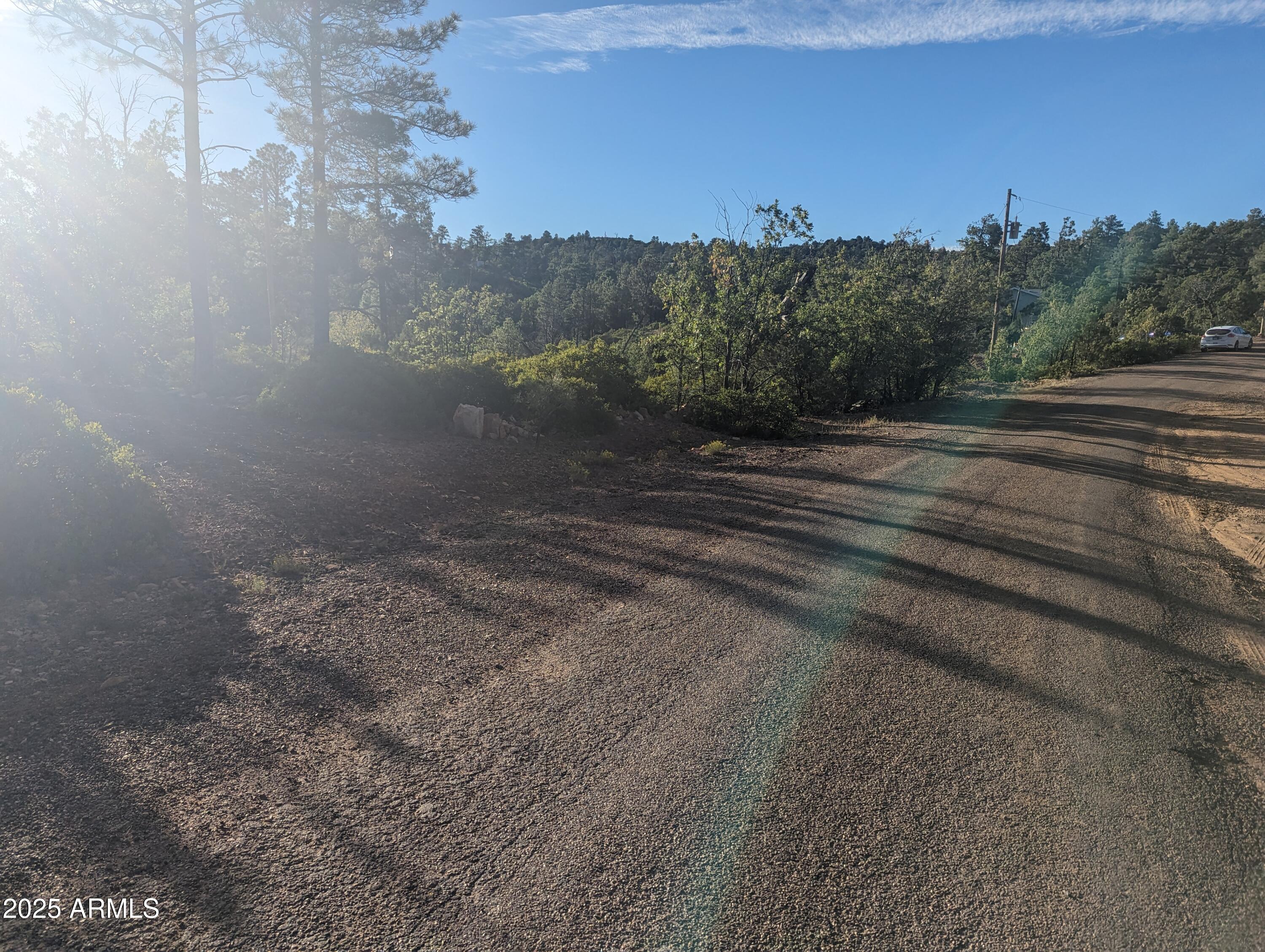 TIMBERLAND ACRES    lot 390 - Land