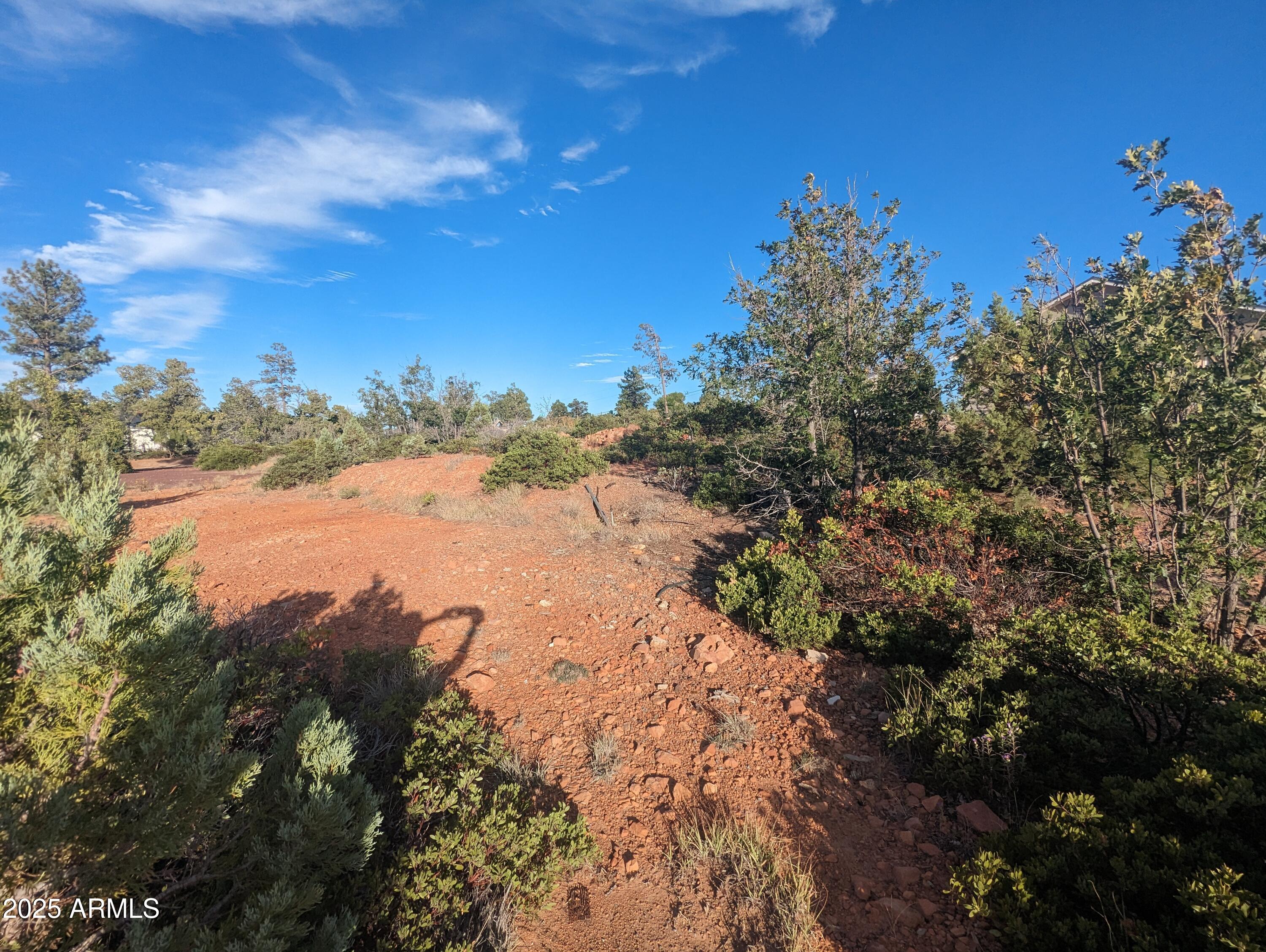 TIMBERLAND ACRES    lot 390 - Land
