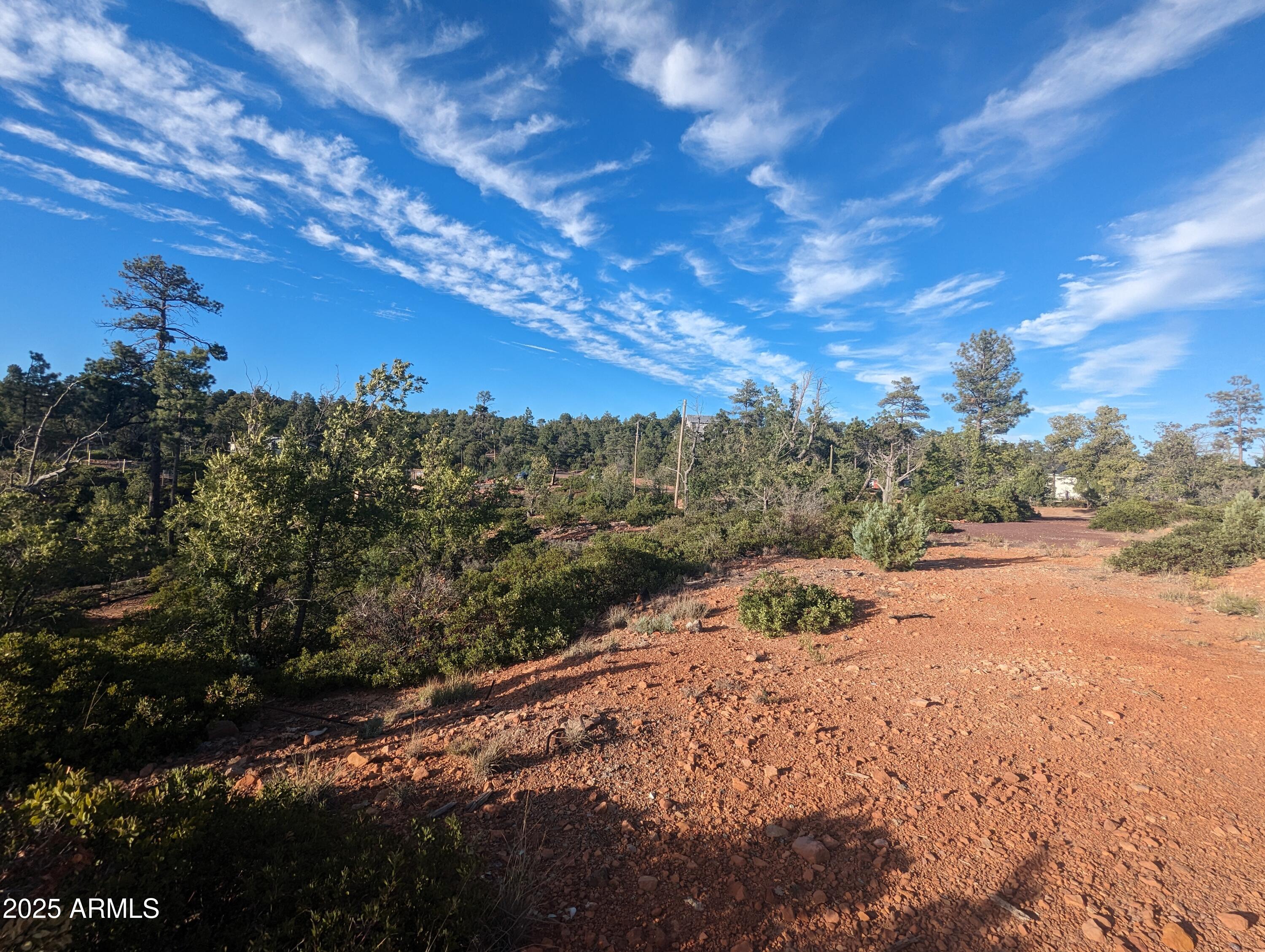 TIMBERLAND ACRES    lot 390 - Land