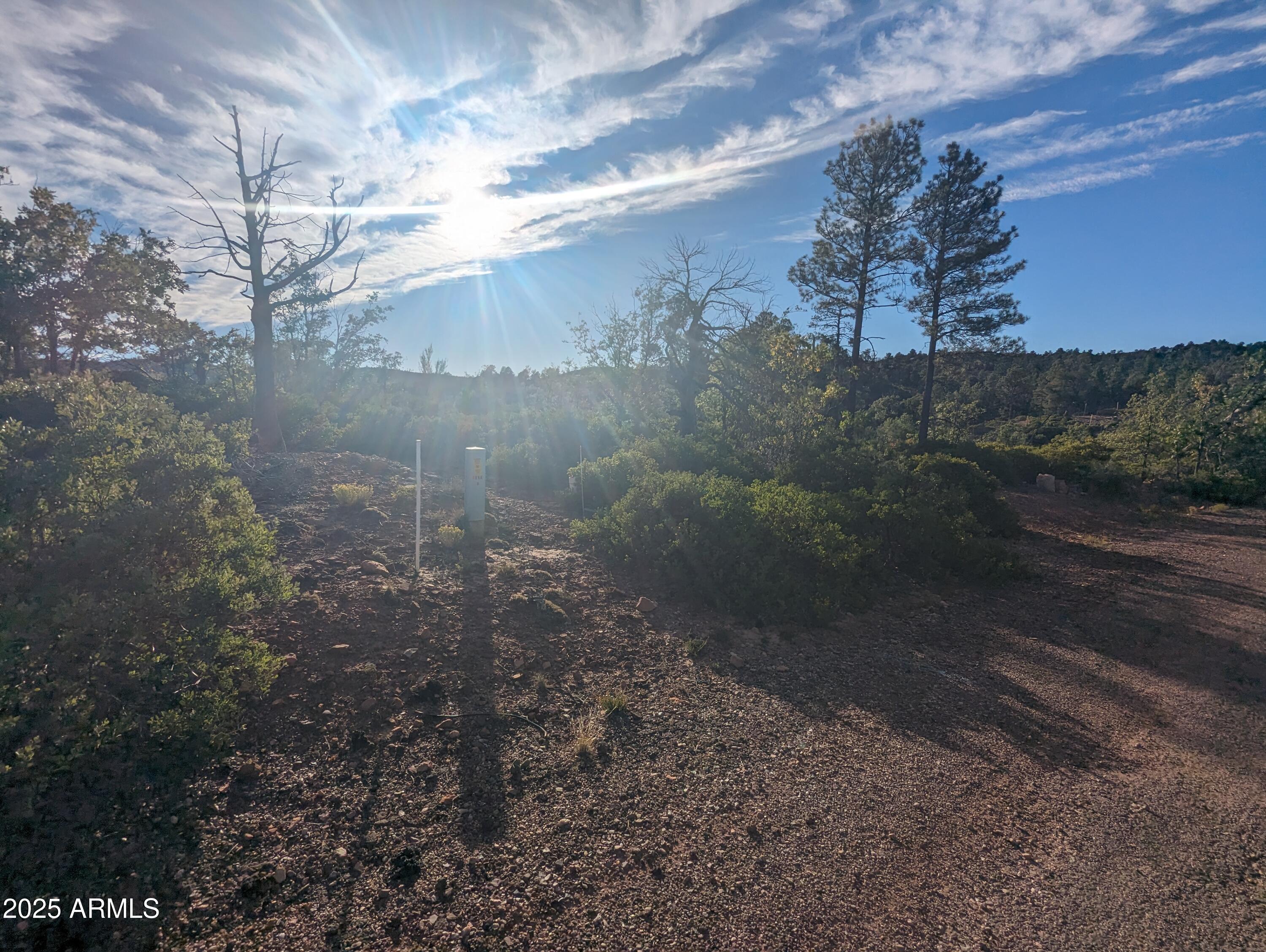 922 OLD SETTLER Trail 390