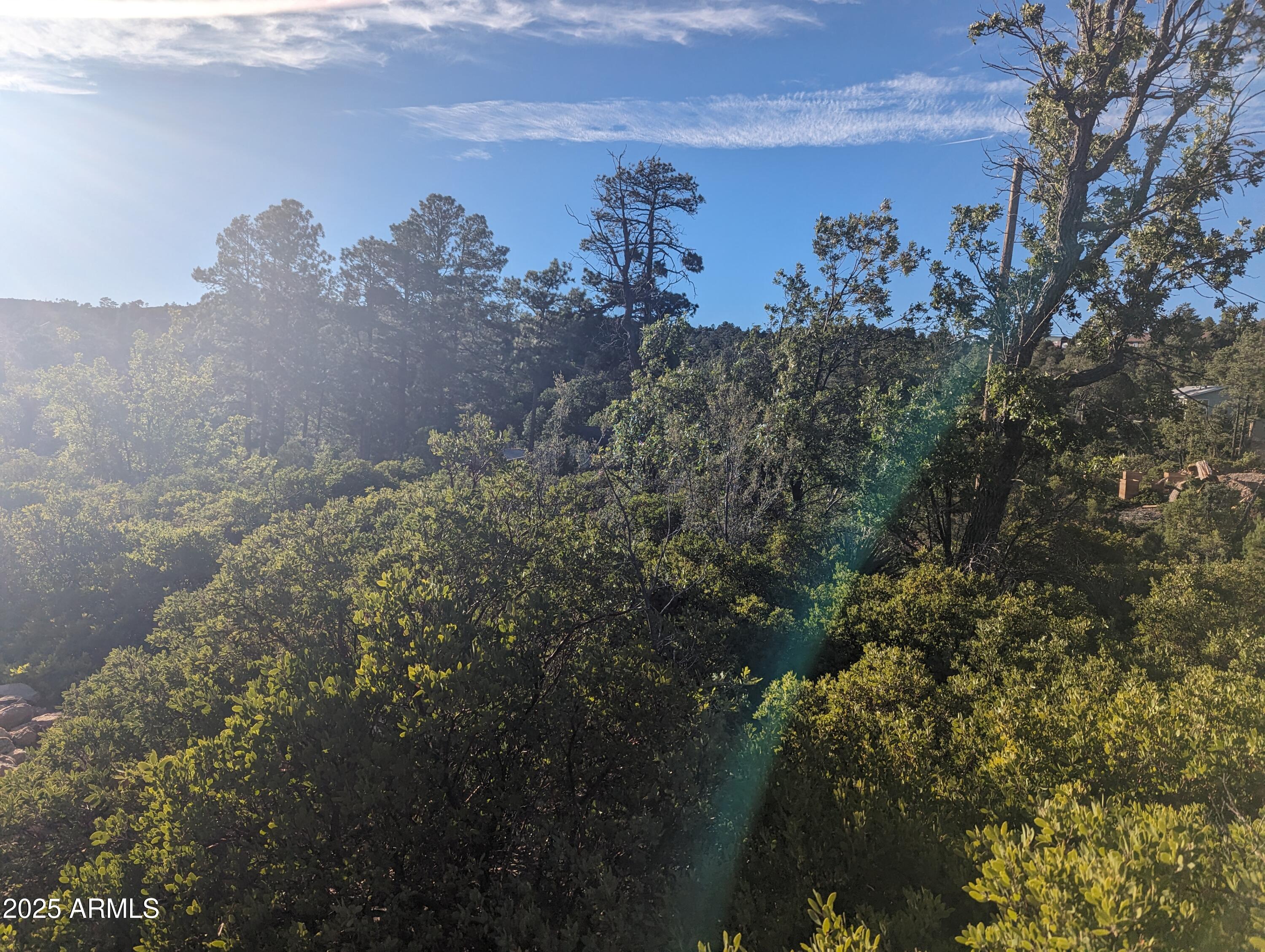 922 OLD SETTLER Trail 390