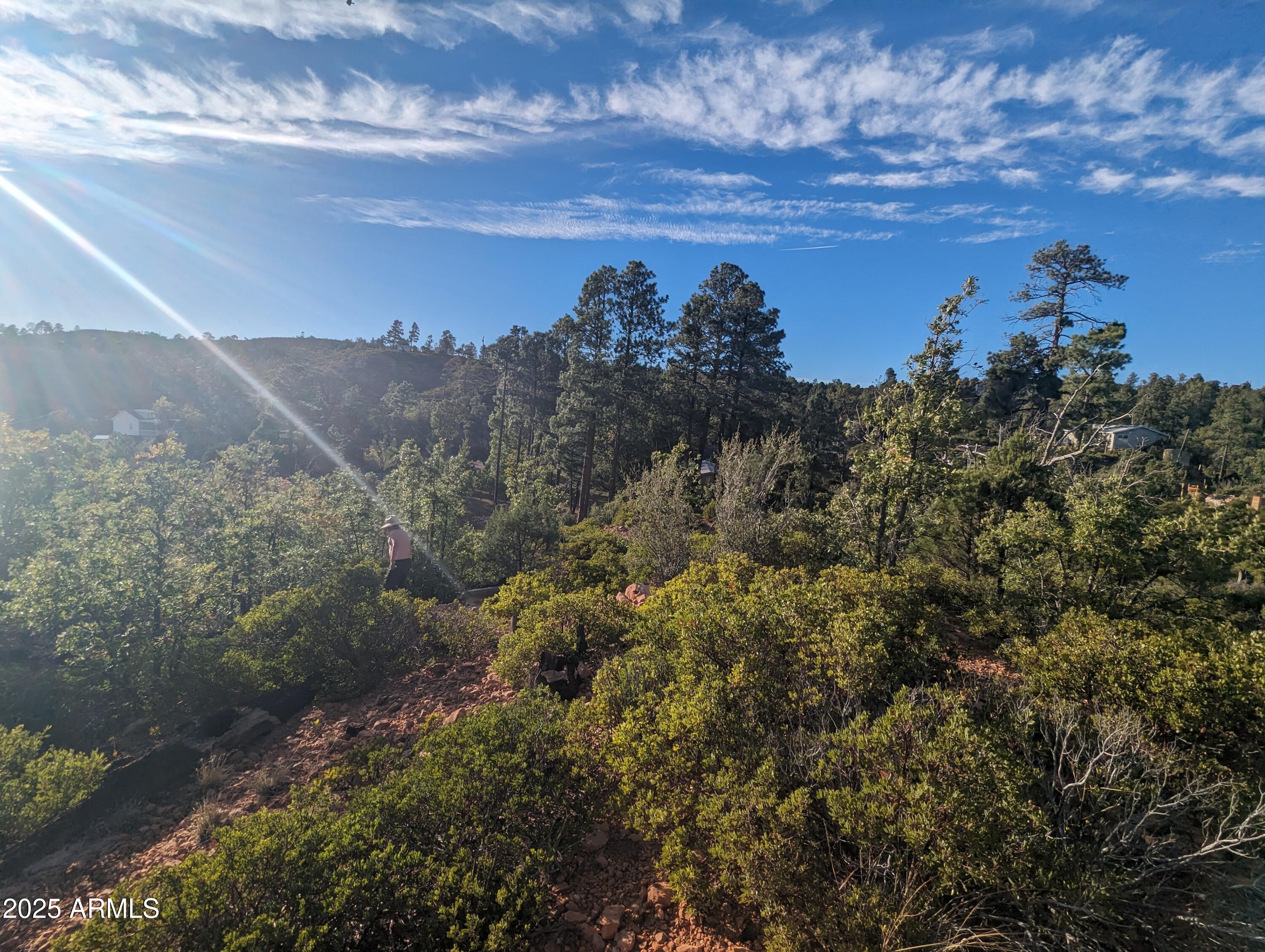 TIMBERLAND ACRES    lot 390 - Land
