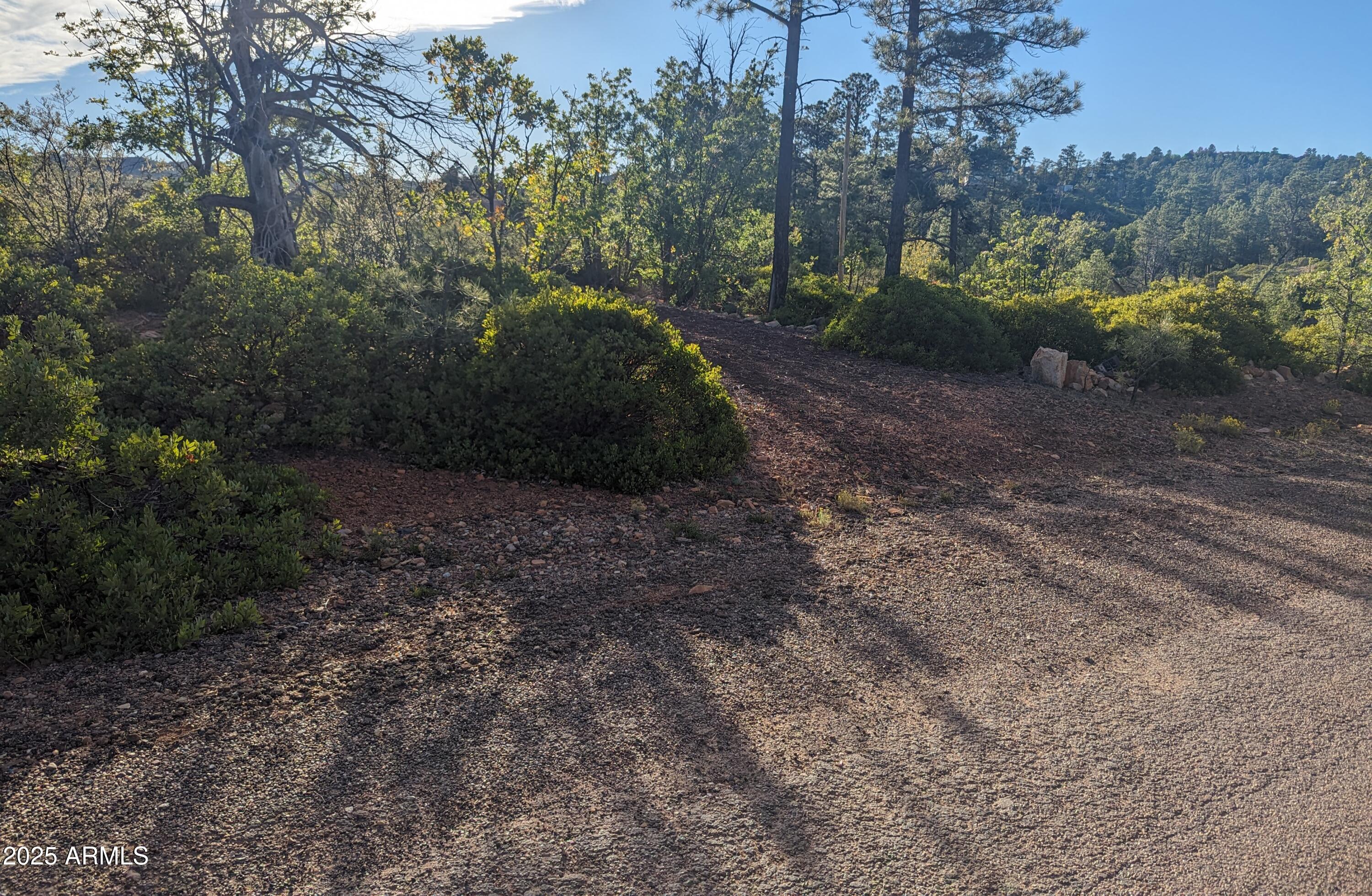 TIMBERLAND ACRES    lot 390 - Land