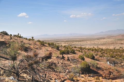 - Stella Ranch Drive - Dolan Springs AZ 86441