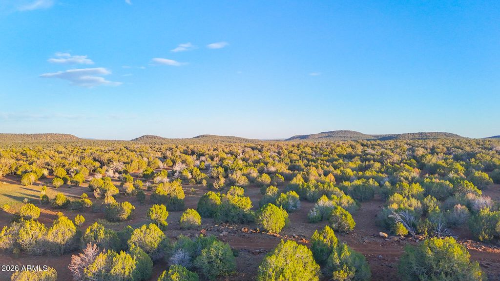 Photo of Tbd N Six Shooter Trl 20 Acres #211, Ash Fork, AZ 86320 (MLS # 7032644)