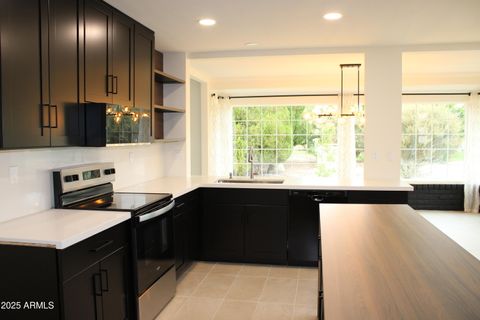 12542 W PARKWOOD Drive Sun City West AZ 85375