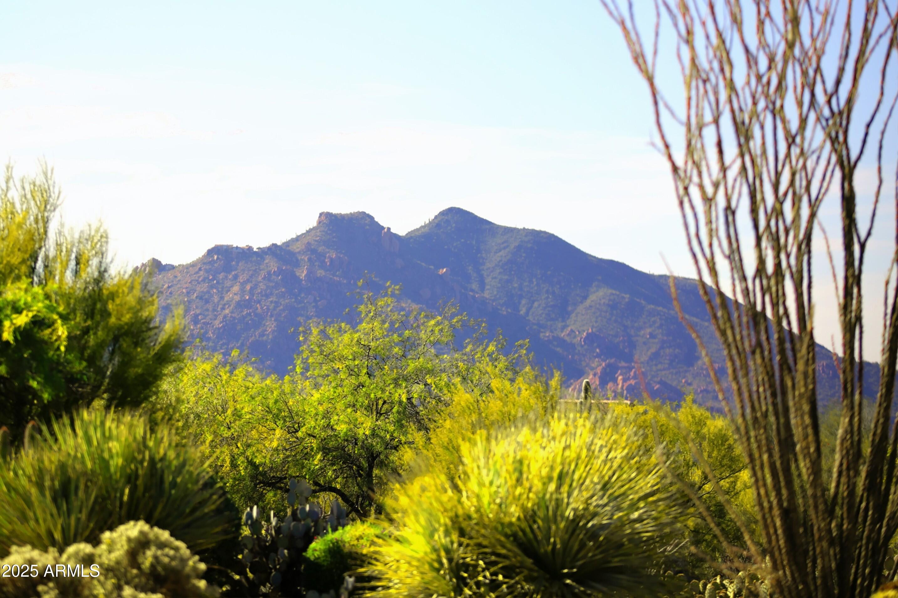 9215 E LAZYWOOD Place