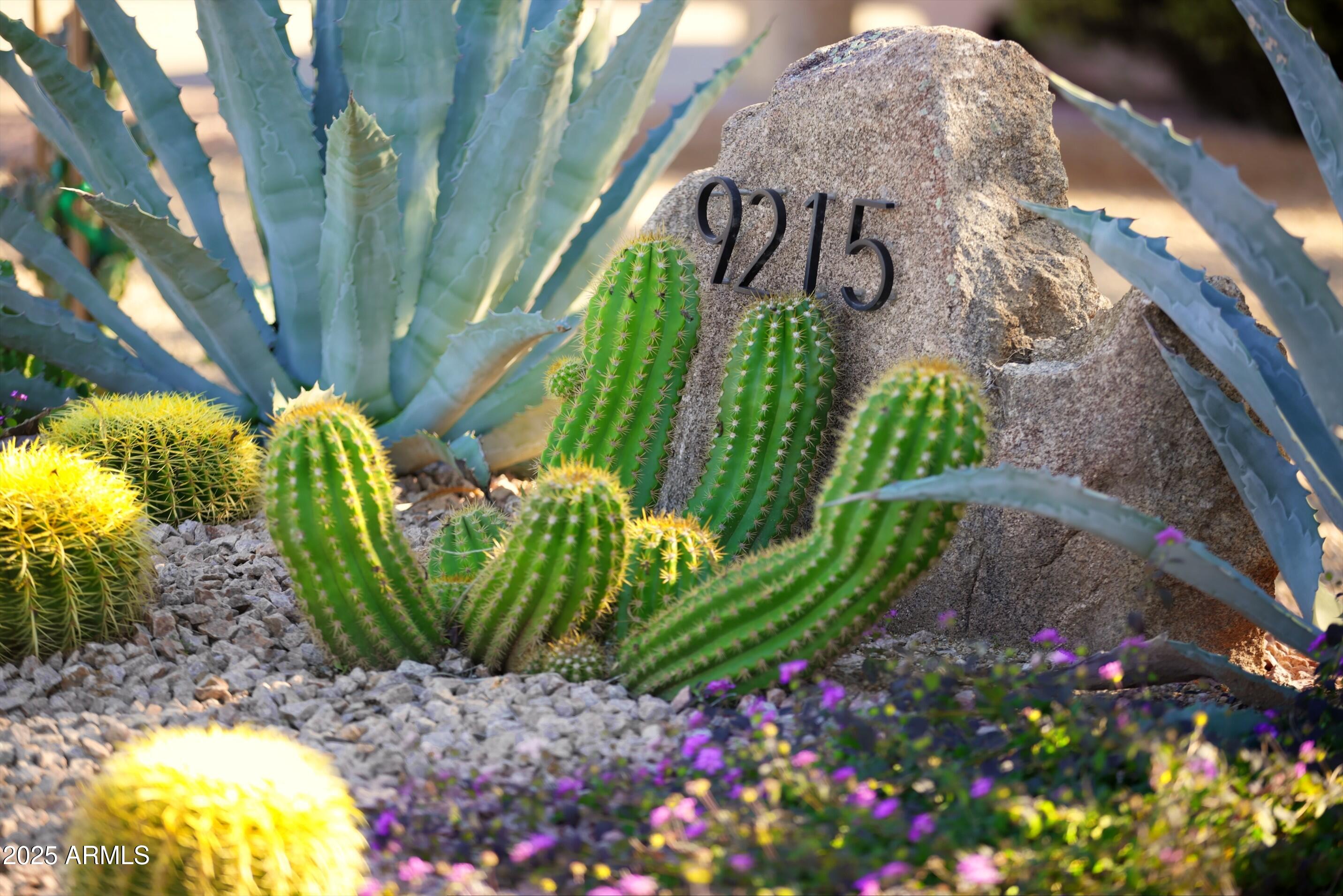 9215 E LAZYWOOD Place