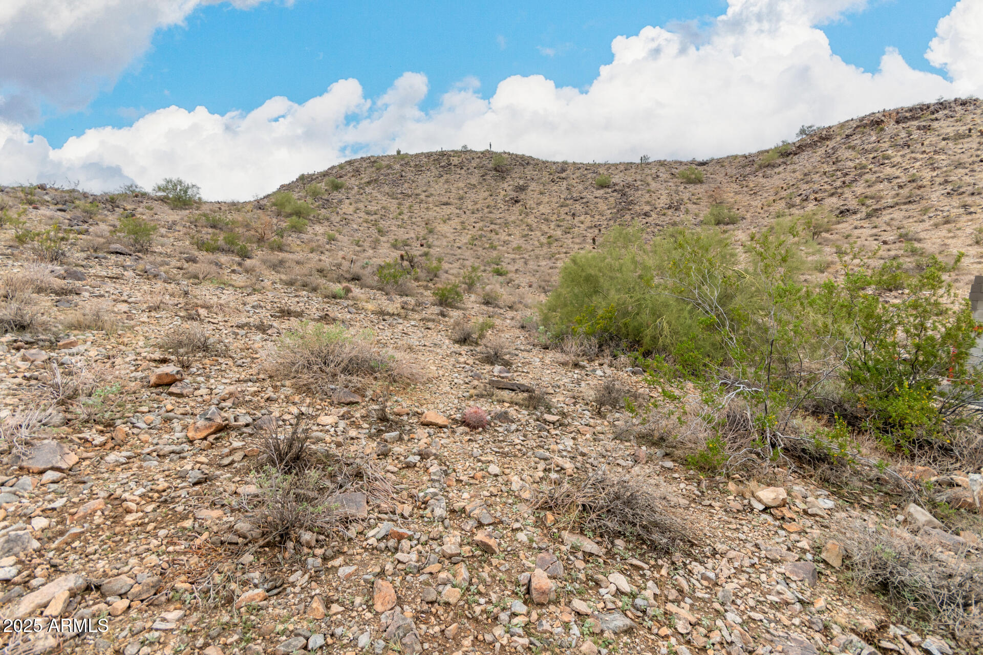 21116 W CANYON Drive 52