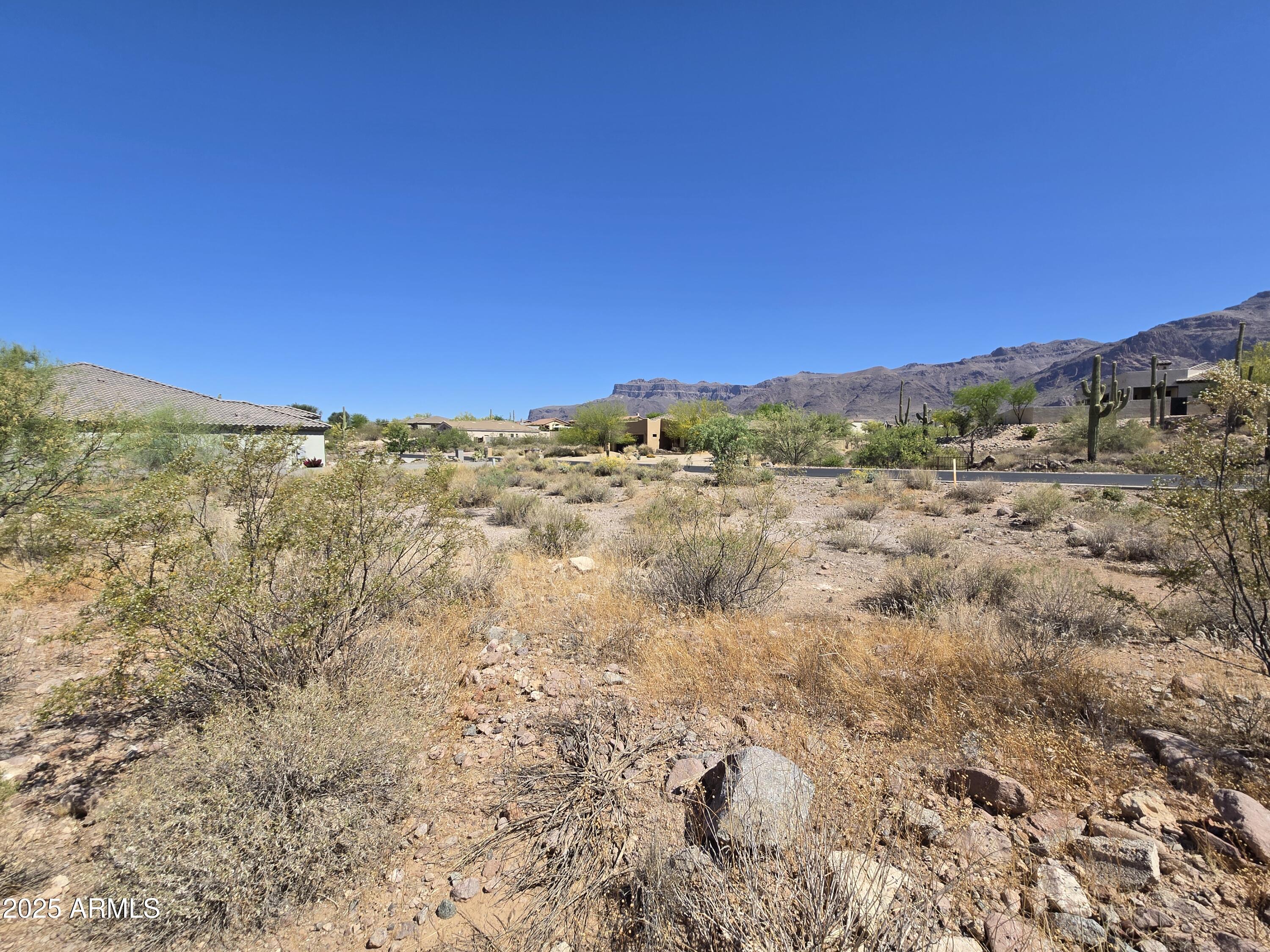 10667 E WALKING STICK Way 21