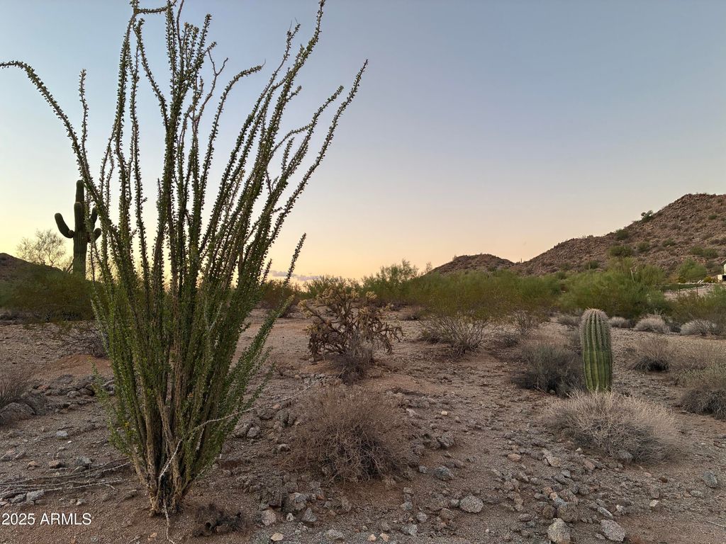 Photo of 0 W Hooper Trail #-, San Tan Valley, AZ 85143 (MLS # 6921387)