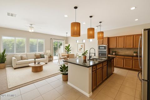 41301 W SUSSEX Drive Maricopa AZ 85138