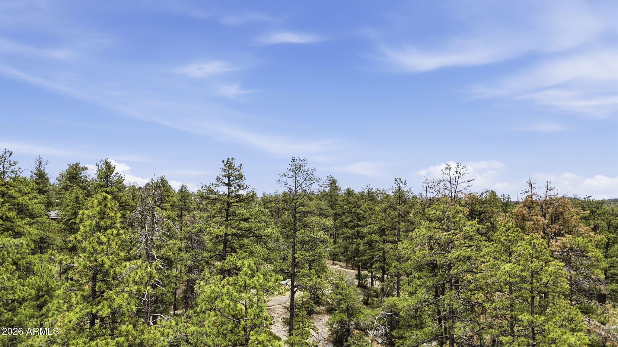HIGHLAND PINES - Land