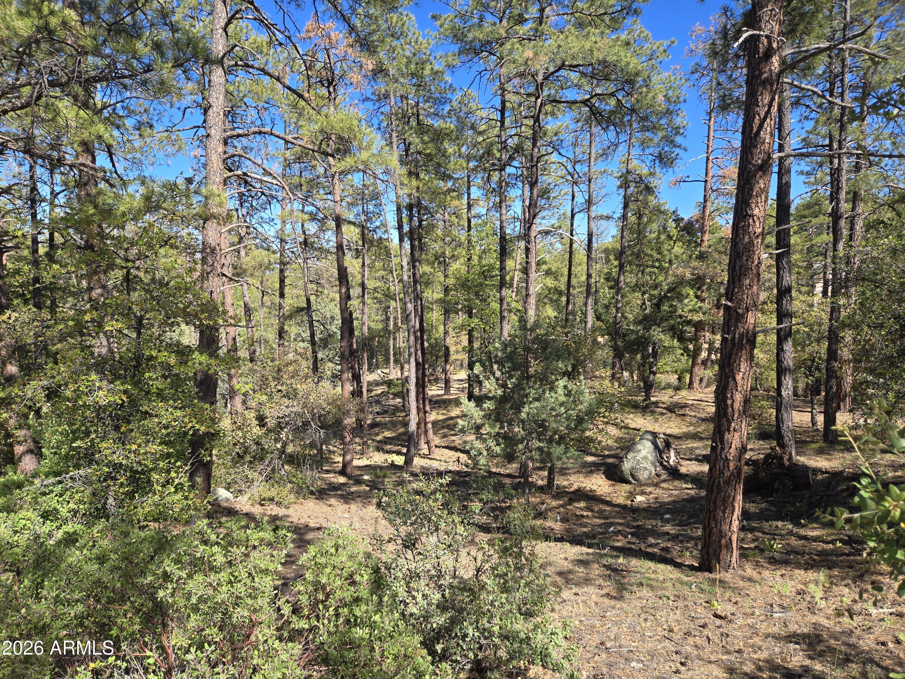 HIGHLAND PINES - Land