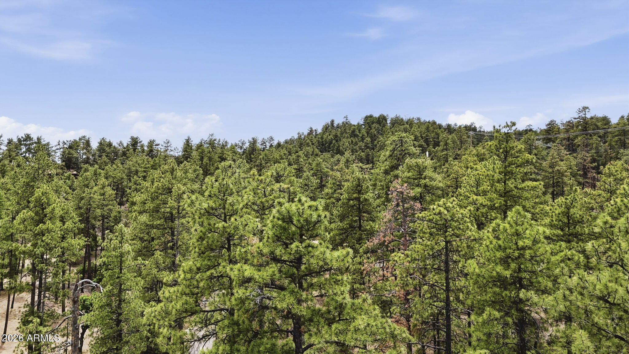 HIGHLAND PINES - Land