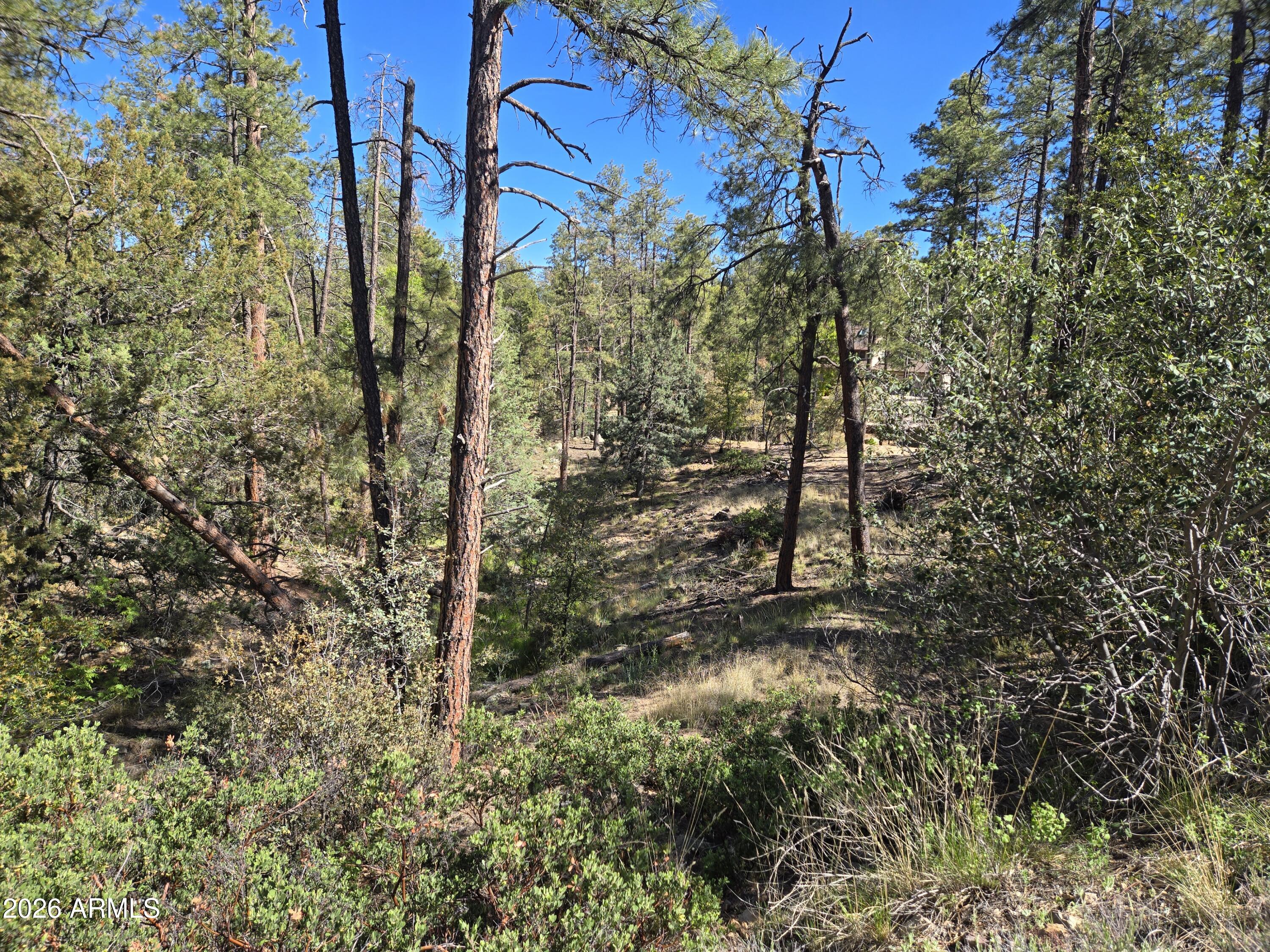 HIGHLAND PINES - Land
