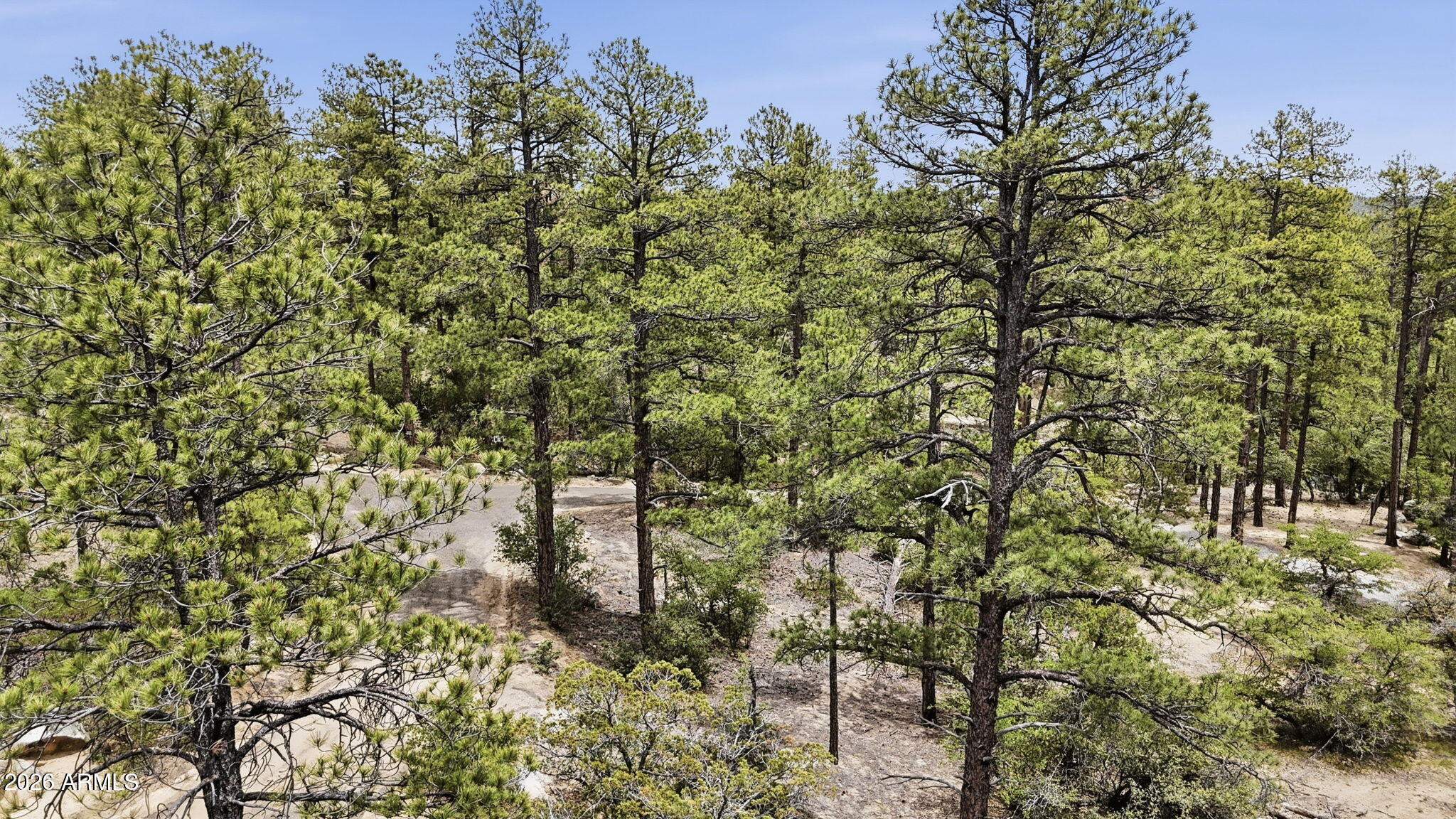HIGHLAND PINES - Land