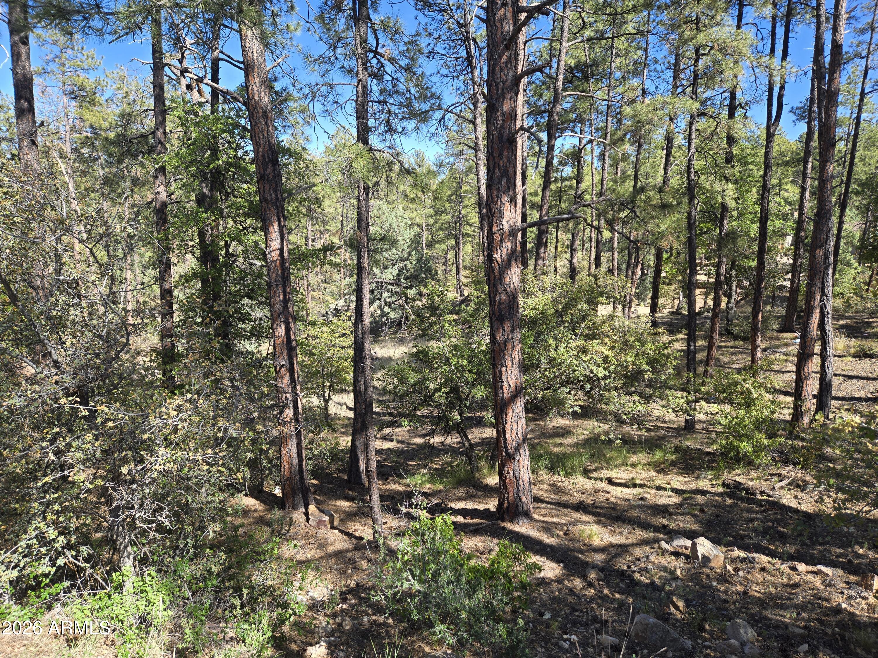 HIGHLAND PINES - Land