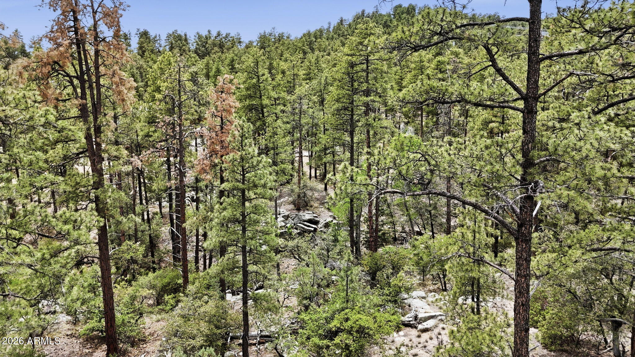 HIGHLAND PINES - Land