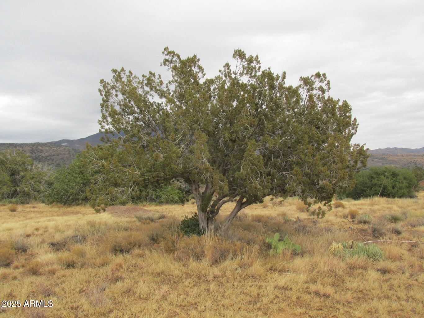 27668 E DIAMOND Drive 20