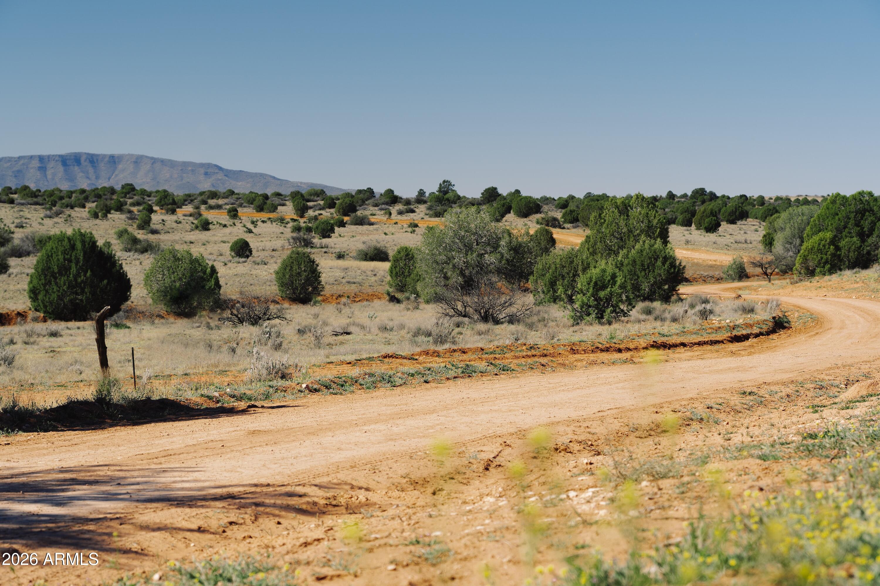 555 Sacred Forest Lane E