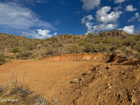 5289 S CARIOTT Court - Gold Canyon AZ 85118
