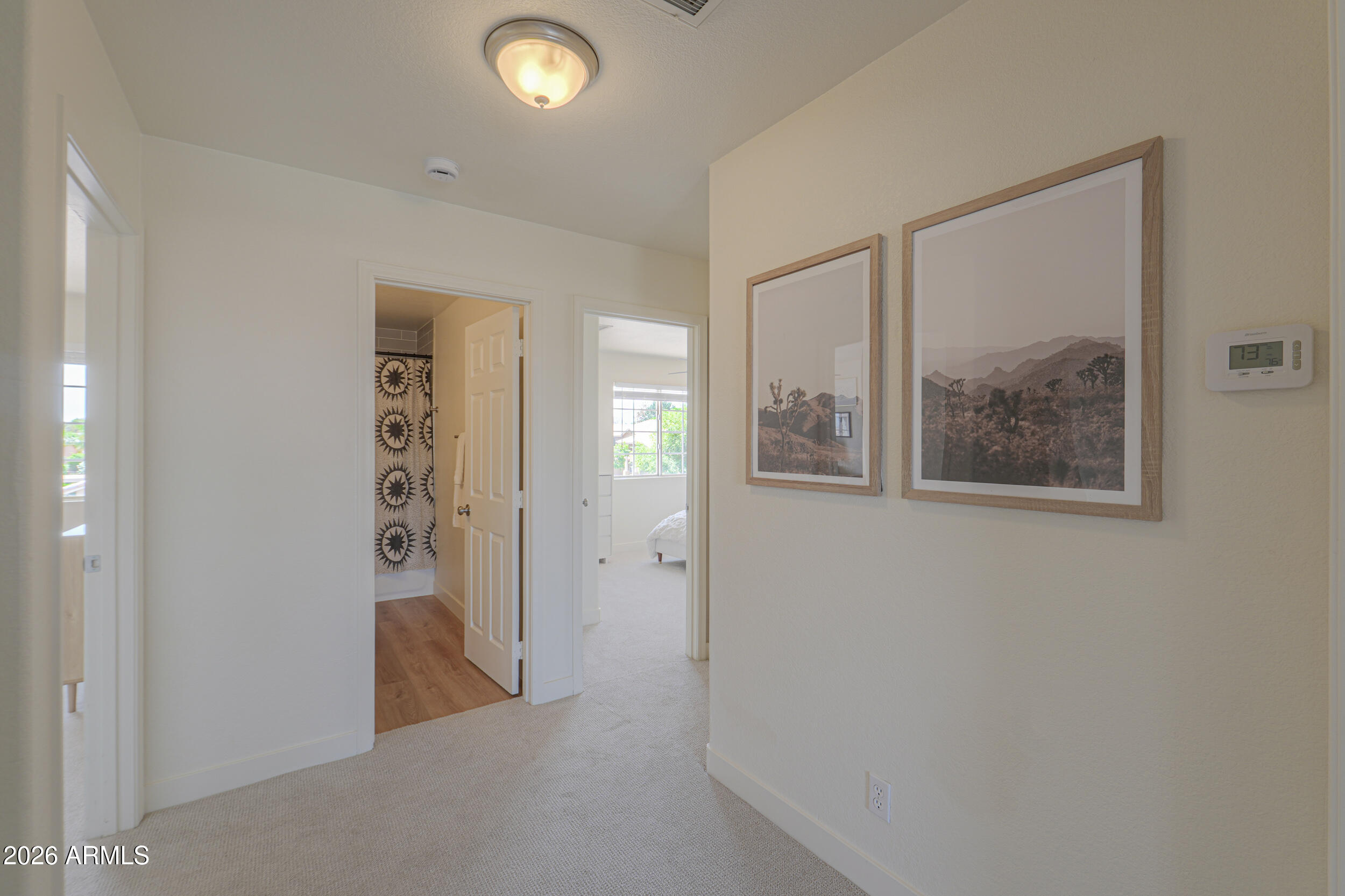 SUPERSTITION MEADOWS SUBDIVISION - Residential