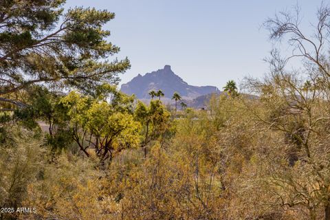 A home in Fountain Hills