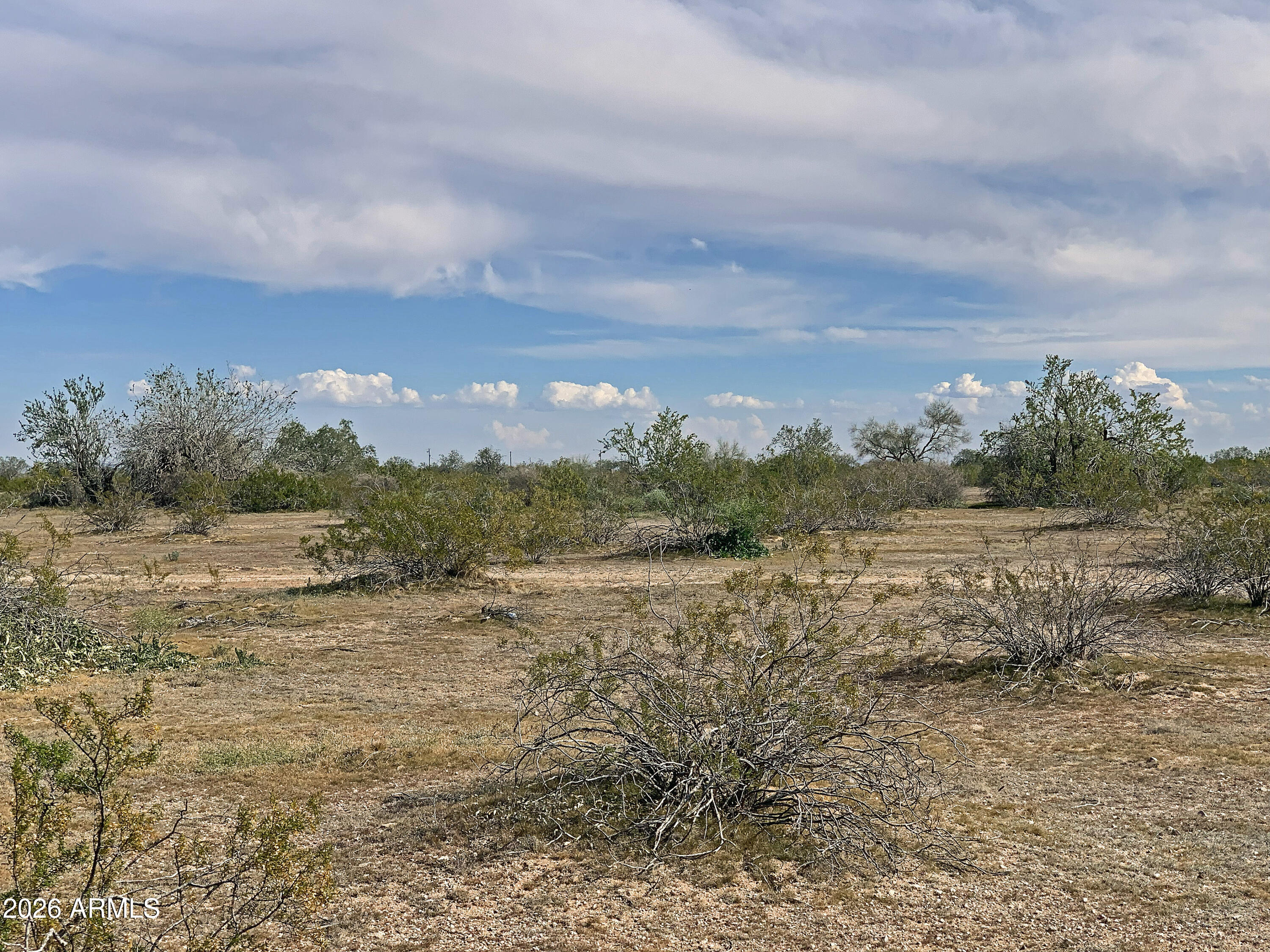 0 W Pampas Grass Road 4