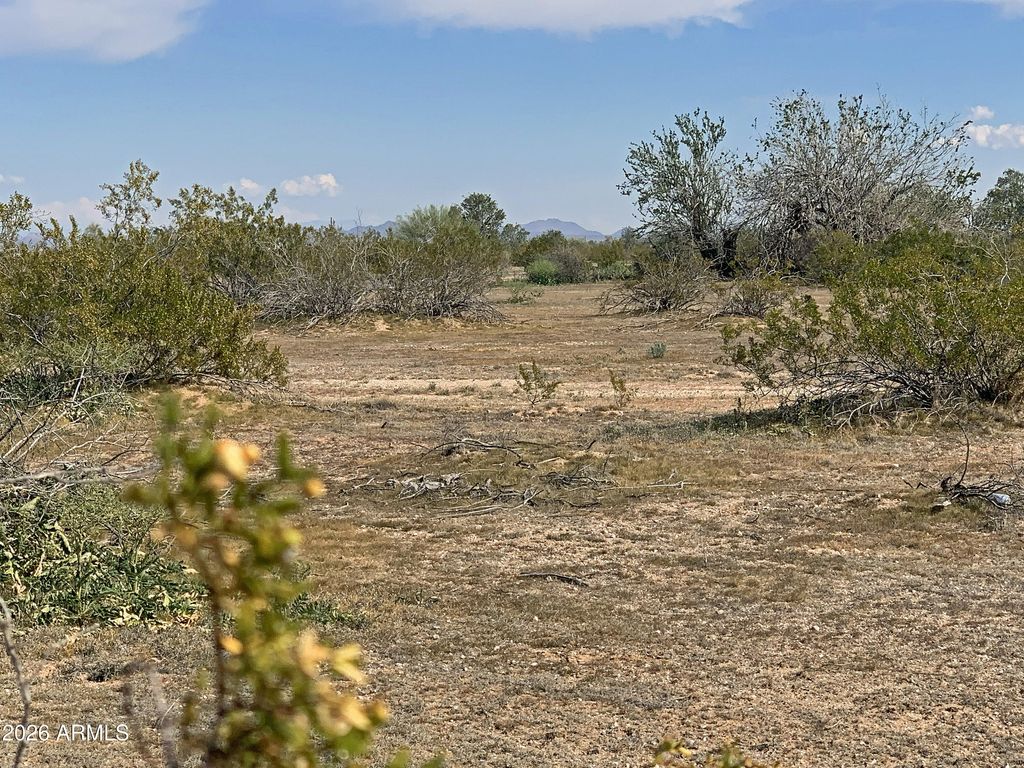 Photo of 0 W Pampas Grass Road #4, Maricopa, AZ 85139 (MLS # 6987774)