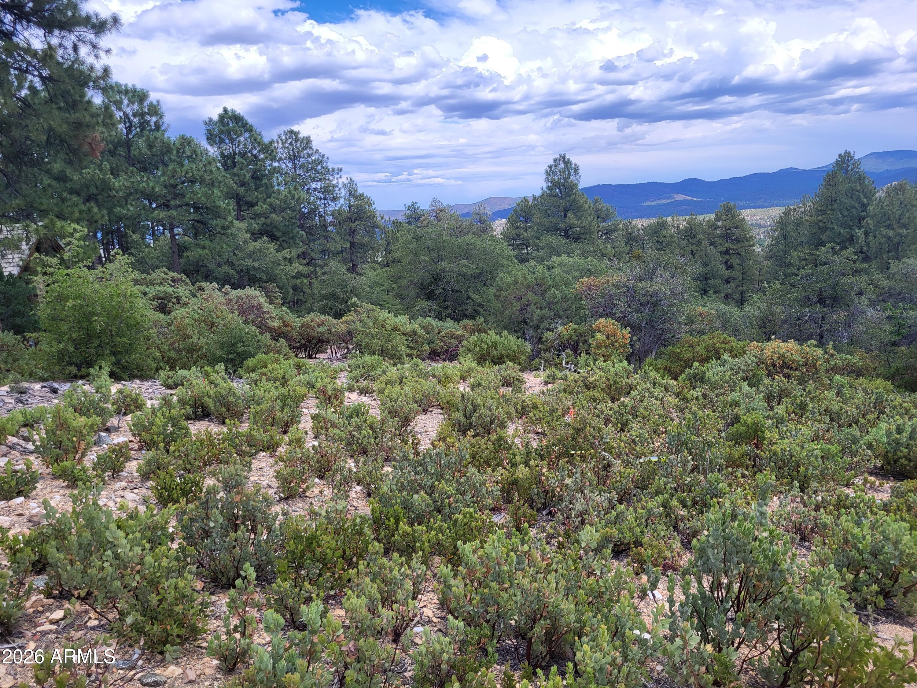 1610 S HIGH VALLEY RANCH Road 6