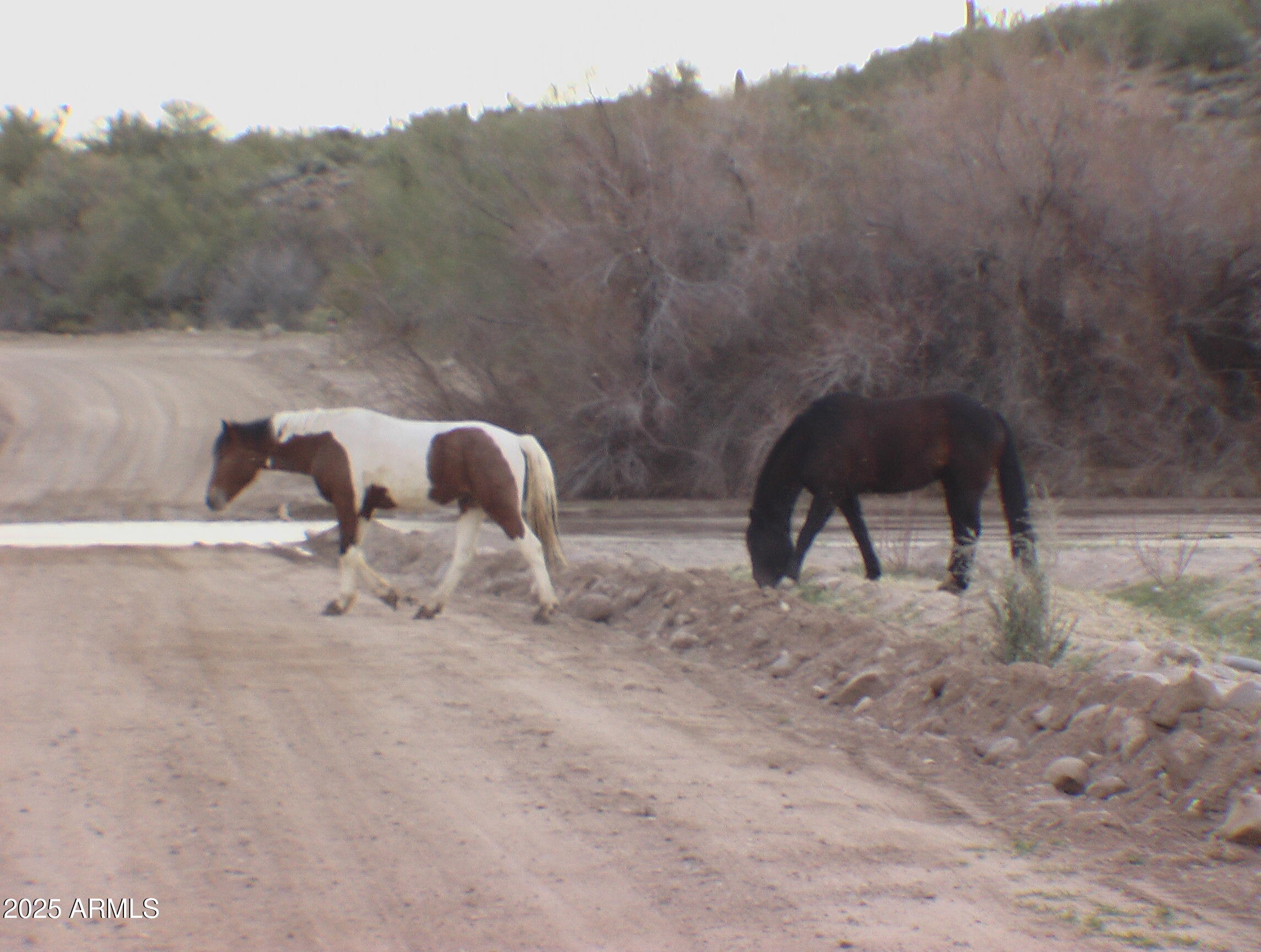 Homes for Sale in Queen Creek Arizona 3 236242 S SIGNAL Road