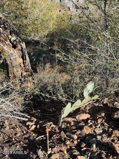 000 DIAZ Street 12,13,24,25