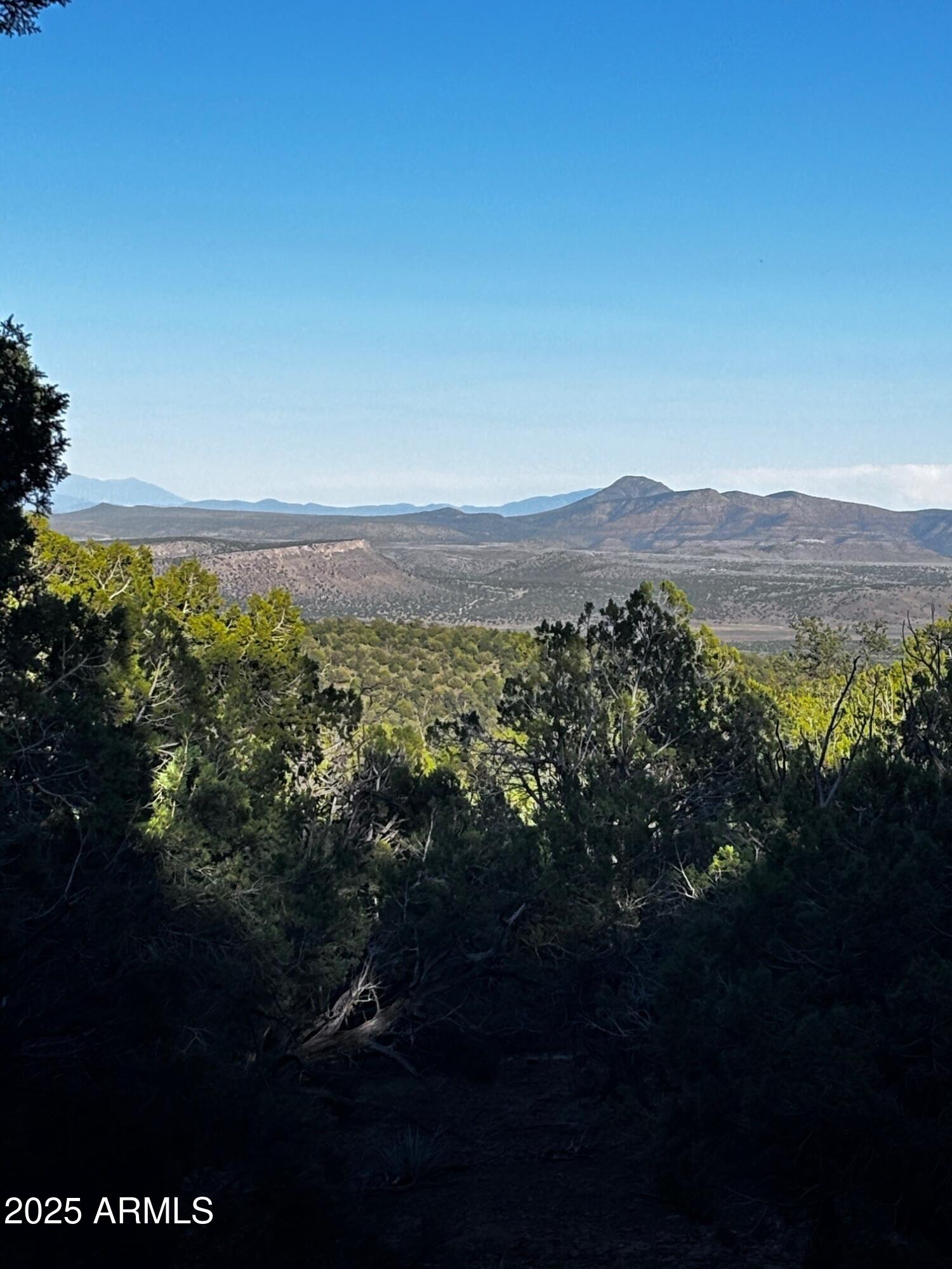 0 soaring Hawk -- 498