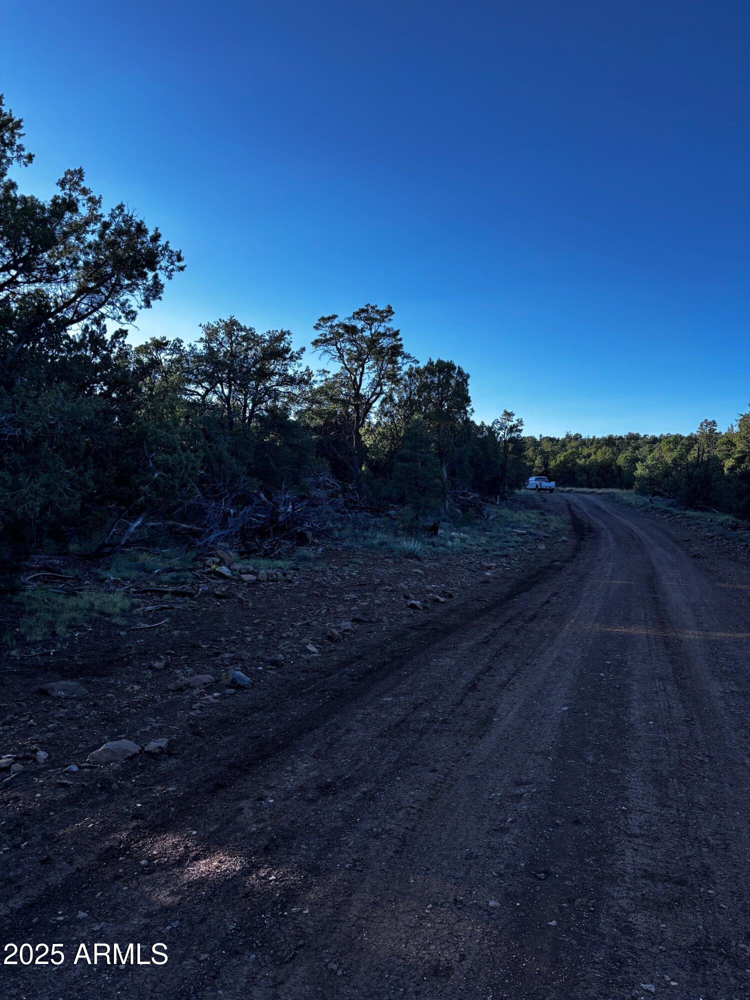 0 soaring Hawk -- 498