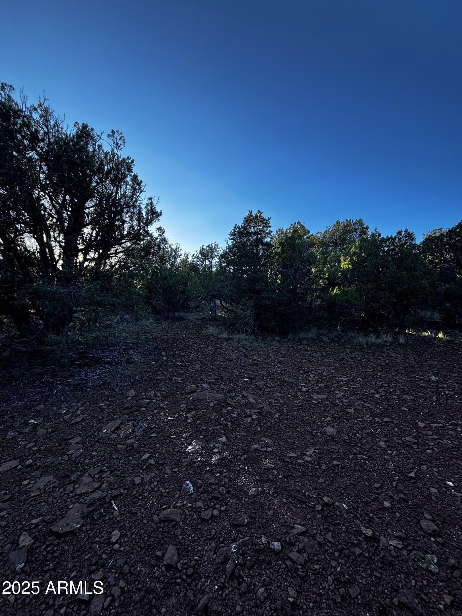 0 soaring Hawk -- 498