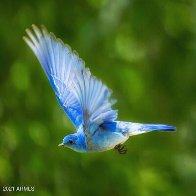 5666 W Dnp Test Listing Street 29