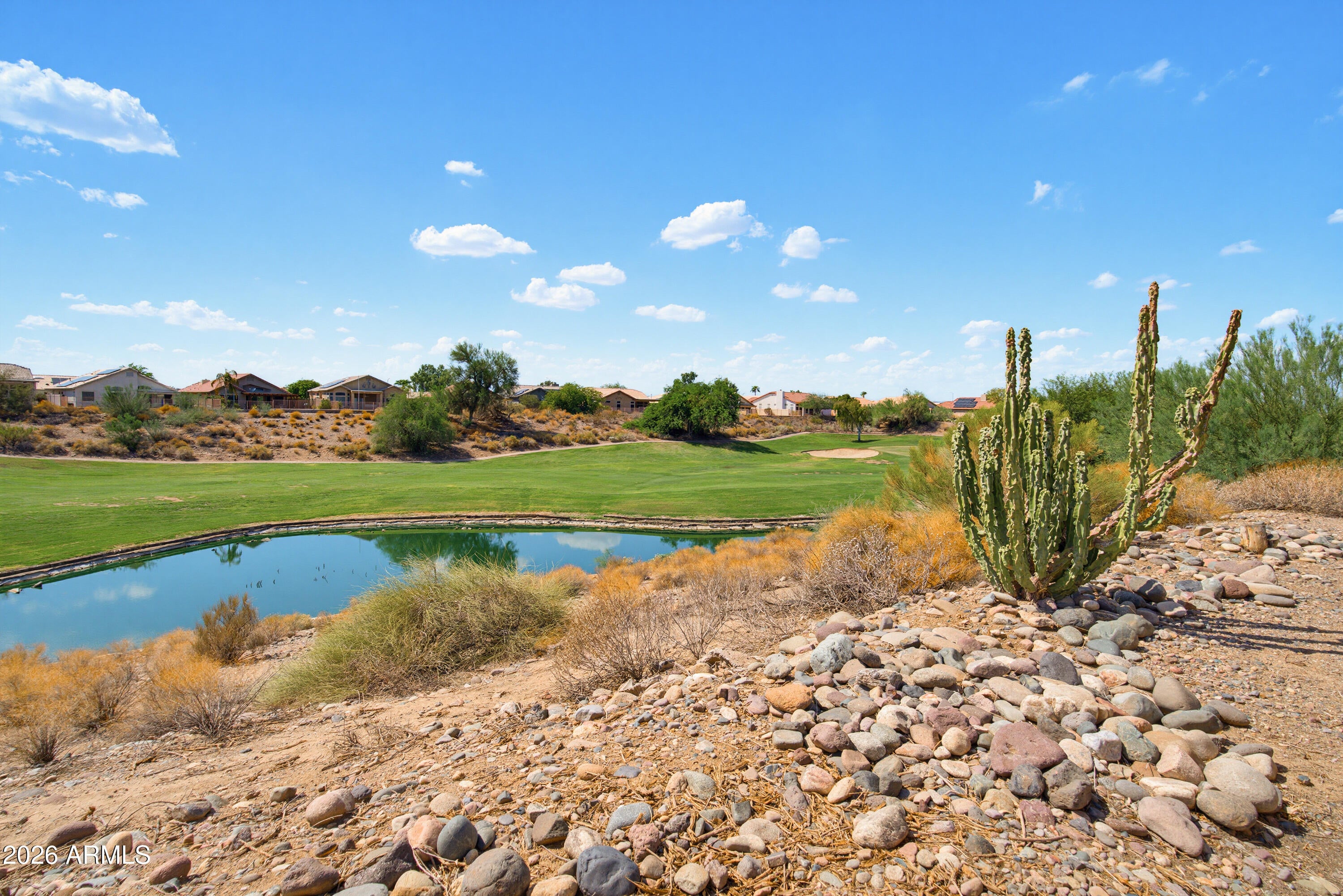 11546 W KING SNAKE Court