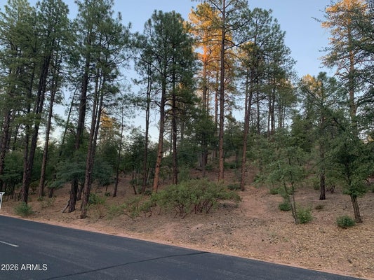 805 S MONUMENT VALLEY DR # 166, PAYSON, AZ 85541 - Image ca283a7e543a338285a026b08d80eb21/49147426