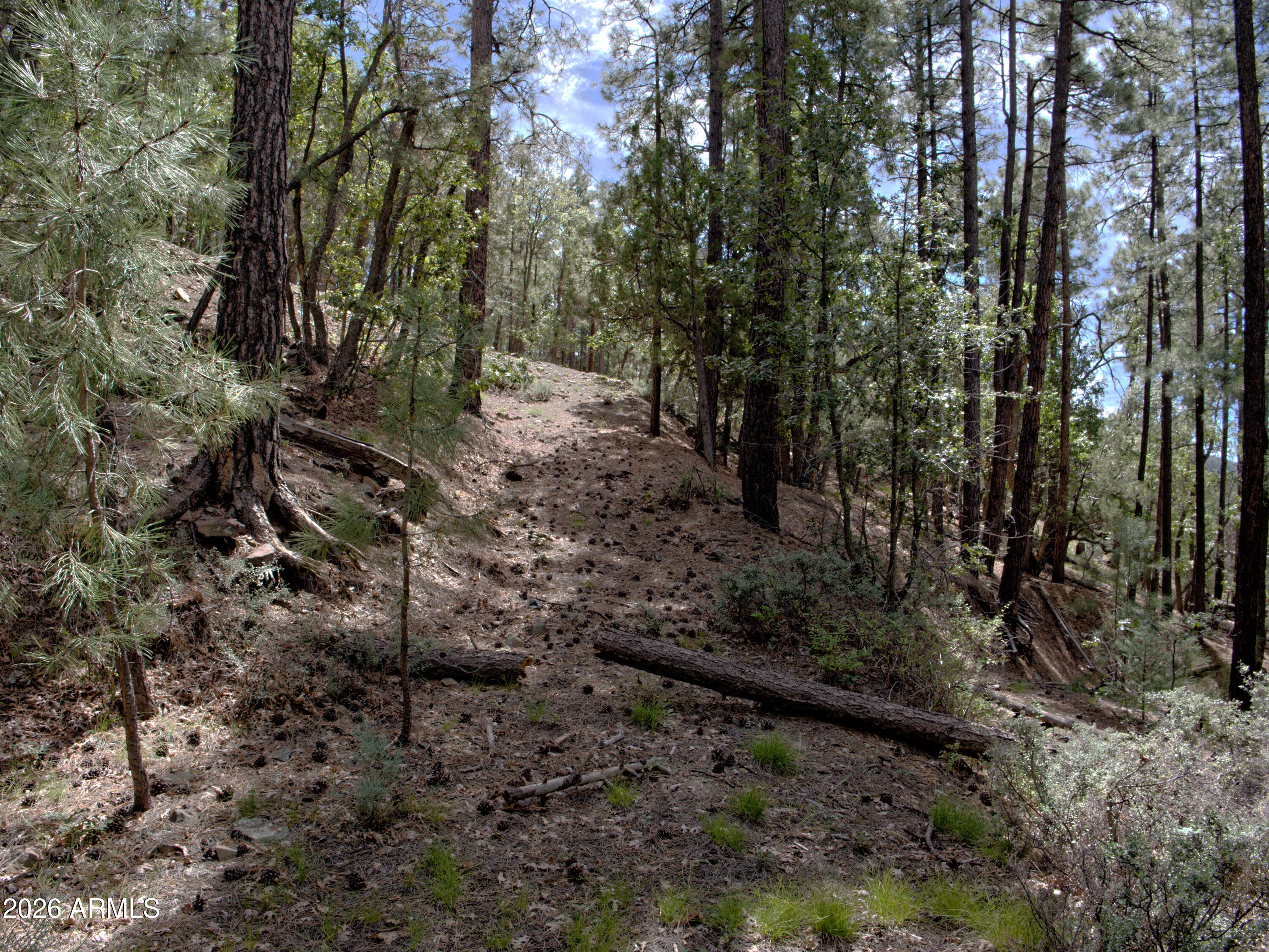 015&016 S Ponderosa Drive 15