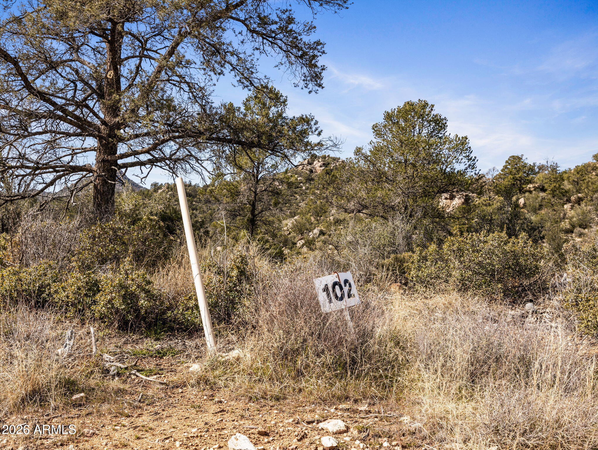RUGER RANCH PHASE 3 UNIT 1 - Land