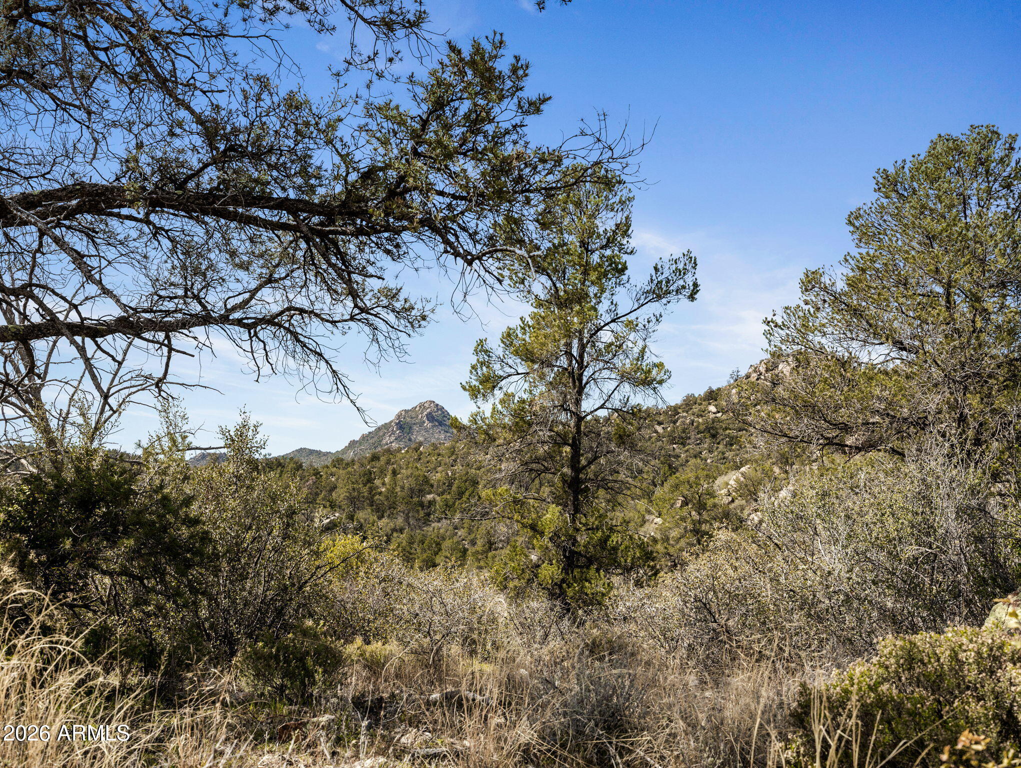 RUGER RANCH PHASE 3 UNIT 1 - Land