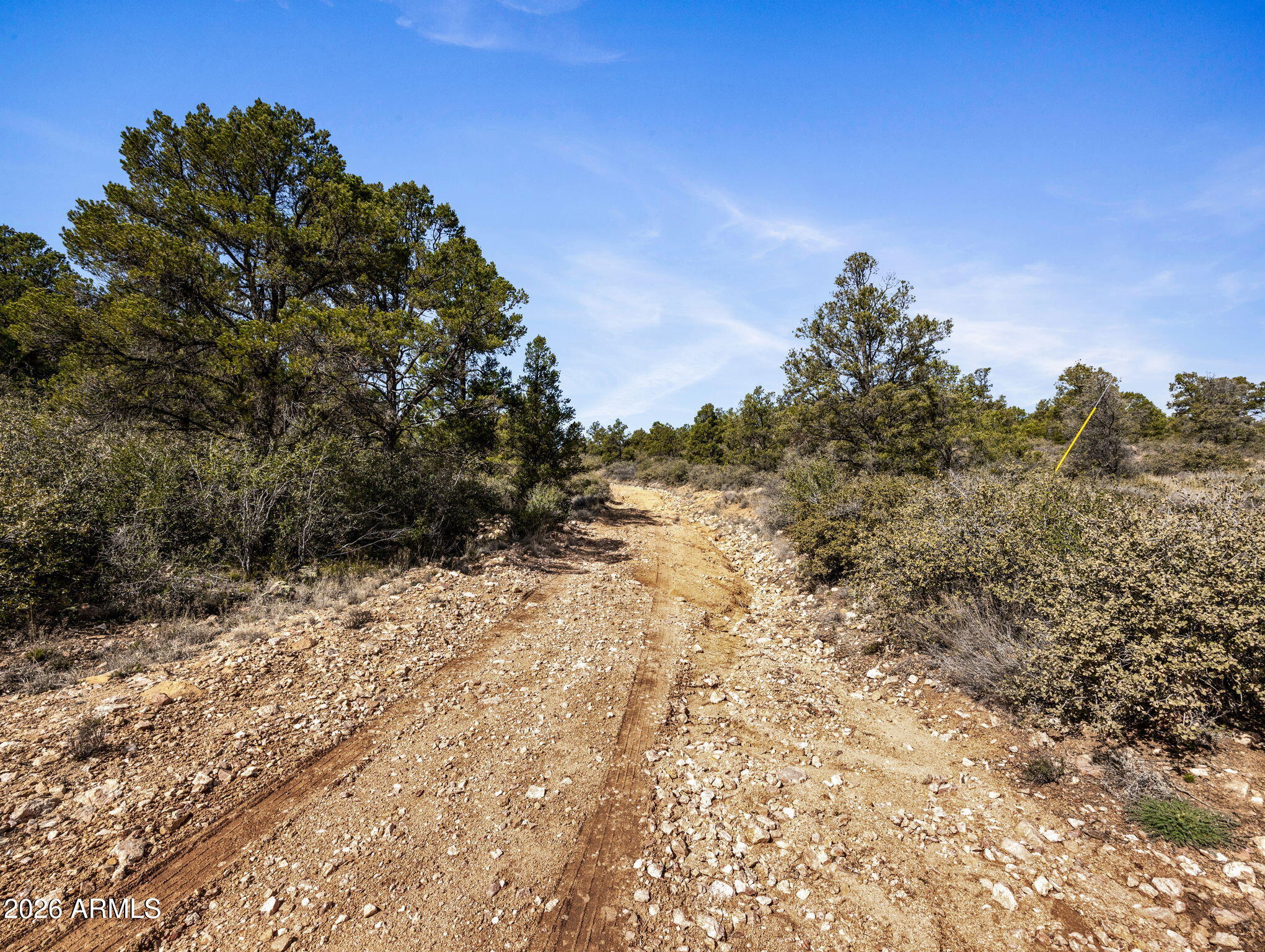 RUGER RANCH PHASE 3 UNIT 1 - Land