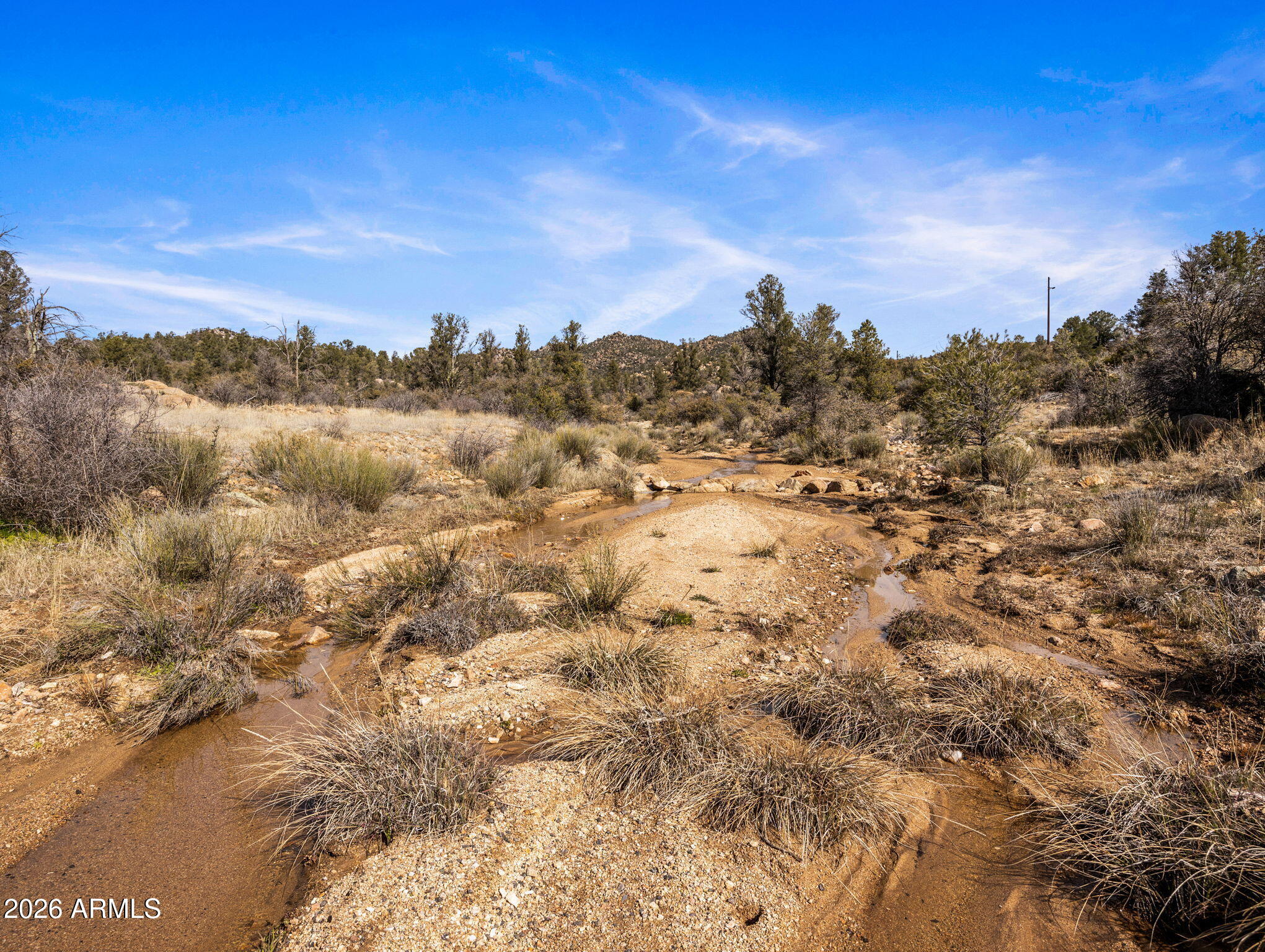 RUGER RANCH PHASE 3 UNIT 1 - Land